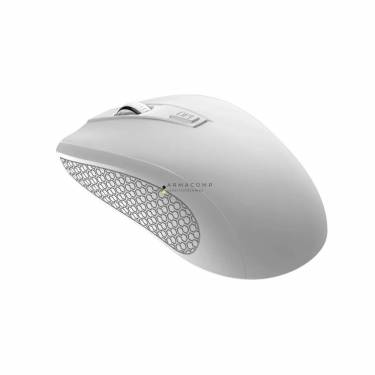 Canyon CNE-CMSW07W Wireless mouse White