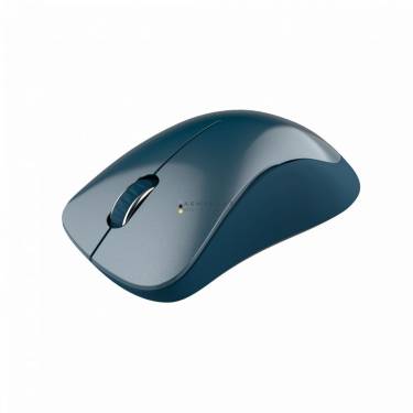 Canyon CNE-CMSW11BL Wireless mouse Blue