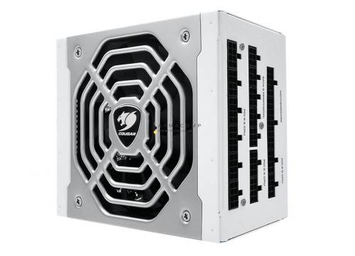 Cougar 1050W 80+ Platinum POLAR1050