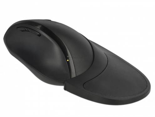 DeLock Ergonomic Wireless Mouse with Wrist Rest Right handers Black