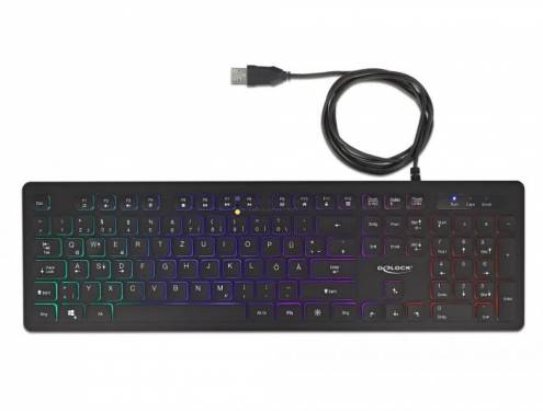 DeLock RGB Illumination USB Keyboard Black DE