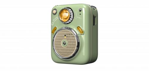 Divoom Beetles-FM Bluetooth Speaker Green