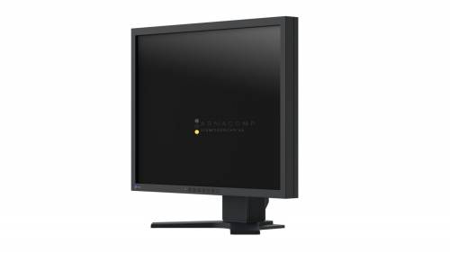 Eizo 21,3" FlexScan S2133 IPS LED