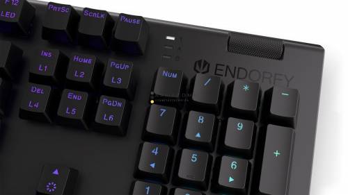 Endorfy Omnis Blue Switch Mechanical Keyboard Black US