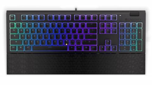 Endorfy Omnis Pudding Brown Switch Mechanical Keyboard Black US