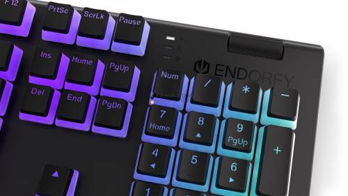 Endorfy Omnis Pudding Brown Switch Mechanical Keyboard Black US