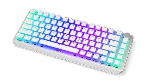 Endorfy Thock 75% Wireless Red Switch Mechanical Keyboard Onyx White Pudding US