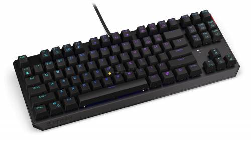 Endorfy Thock TKL Blue Switch Mechanical Keyboard Black US