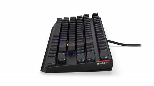 Endorfy Thock TKL Blue Switch Mechanical Keyboard Black US