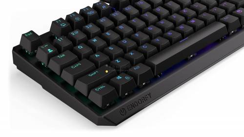 Endorfy Thock TKL Blue Switch Mechanical Keyboard Black US