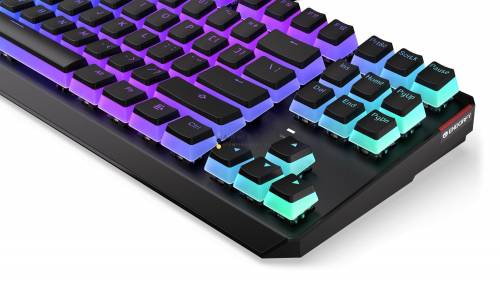 Endorfy Thock TKL Pudding Blue Switch Mechanical Keyboard Black US