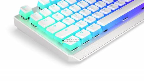 Endorfy Thock Wireless Red Switch Mechanical Keyboard Onyx White Pudding US