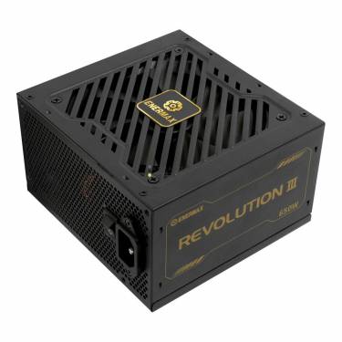 Enermax 650W 80+ Gold Revolution III