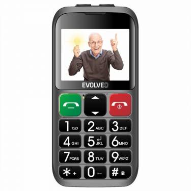 Evolveo EasyPhone EP-850 Silver