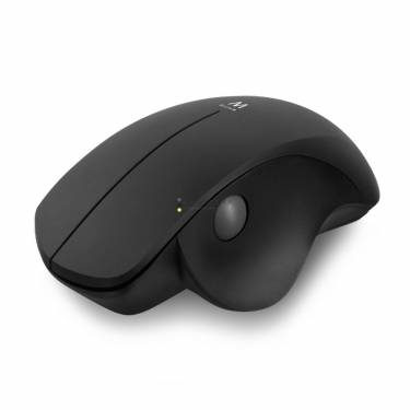 Ewent EW3151 Wireless Ergonomic mouse Black