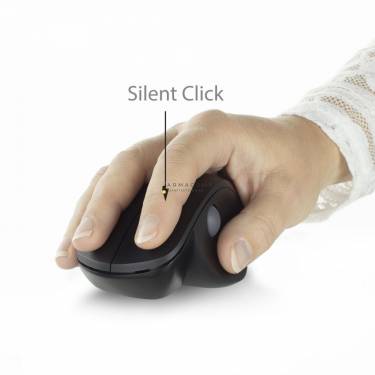 Ewent EW3151 Wireless Ergonomic mouse Black