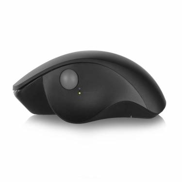 Ewent EW3151 Wireless Ergonomic mouse Black