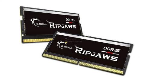 G.SKILL 32GB DDR5 5200MHz Kit(2x16GB) Ripjaws SODIMM