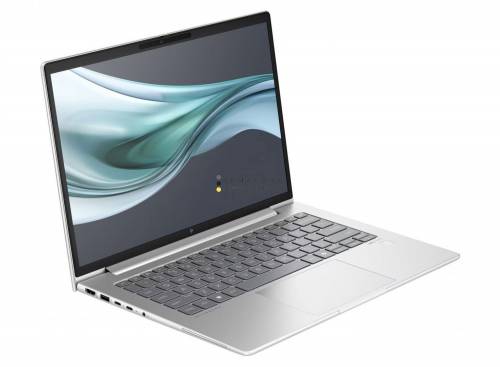 HP EliteBook 460 G11 Silver