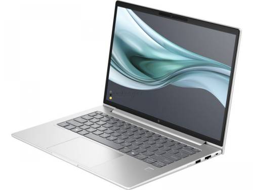 HP ProBook 460 G11 Silver