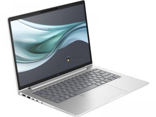 HP ProBook 460 G11 Silver