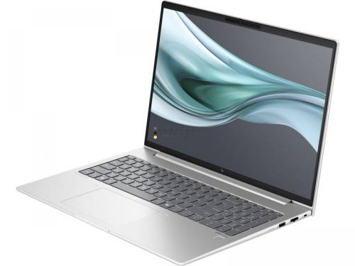 HP EliteBook 660 G11 Silver