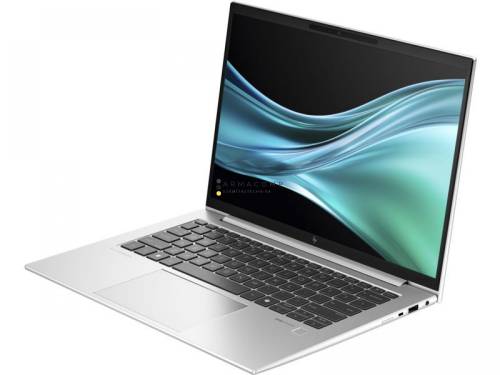 HP EliteBook 845 G11 Silver