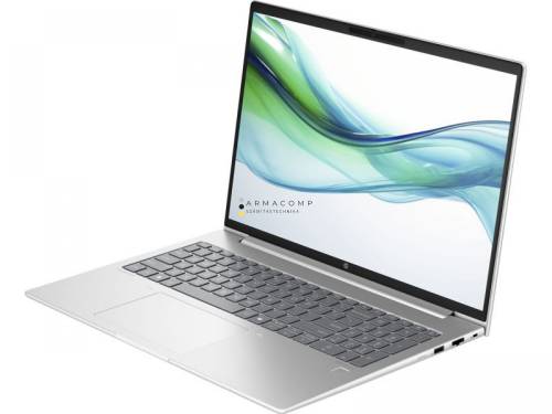 HP ProBook 460 G11 Gray