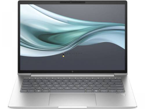 HP ProBook 460 G11 Silver