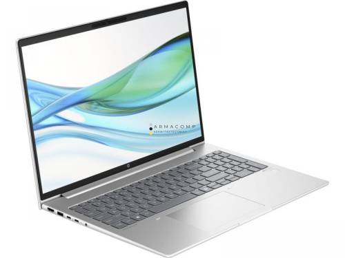 HP ProBook 465 G11 Silver