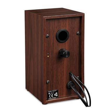 iBox IGLSP1 Speaker Cherry Wood