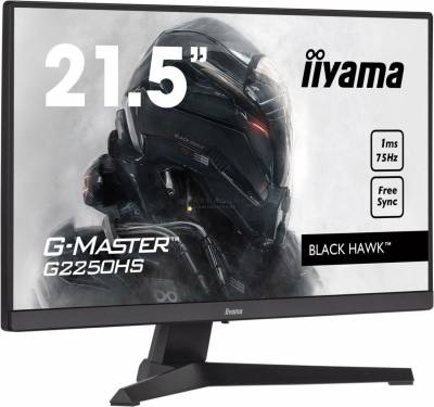 iiyama 21,5" G-Master G2250HS-B1 LED