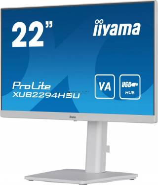 iiyama 21,5" ProLite XUB2294HSU-W2 LED