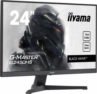 iiyama 23,8" G-Master G2450HS-B1 LED