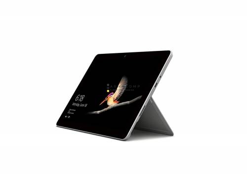 Microsoft Surface Go 10col 256GB Wi-Fi LTE Platinum