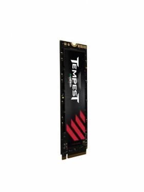 Mushkin 256GB M.2 2280 NVMe Tempest