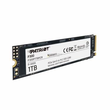 Patriot 1TB M.2 2280 NVMe P300