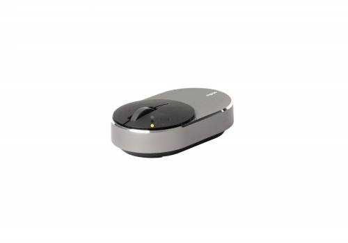 Rapoo M600 Mini Silent Multi-mode Wireless mouse Black