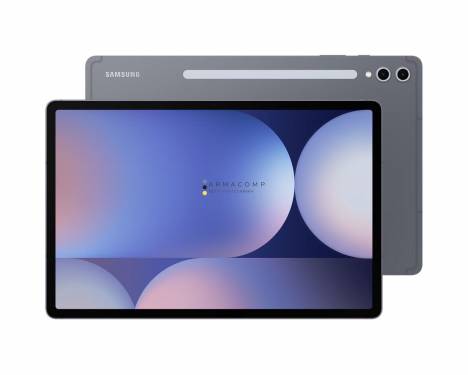 Samsung Galaxy Tab S10+ 12,4col 256GB Wi-Fi Moonstone Grey