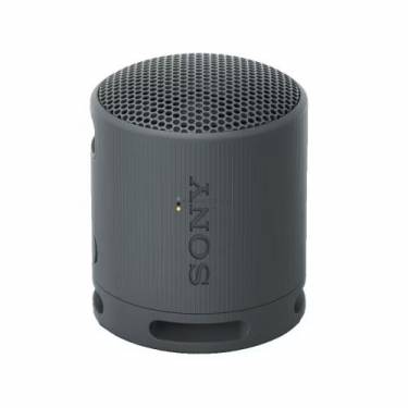 Sony SRSX-B100 Bluetooth Speaker Black