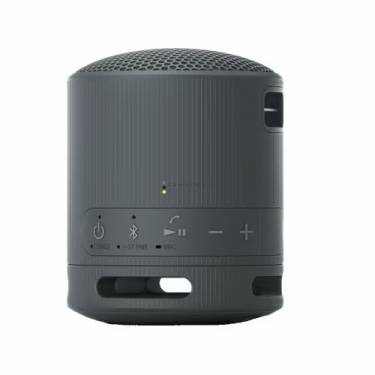 Sony SRSX-B100 Bluetooth Speaker Black