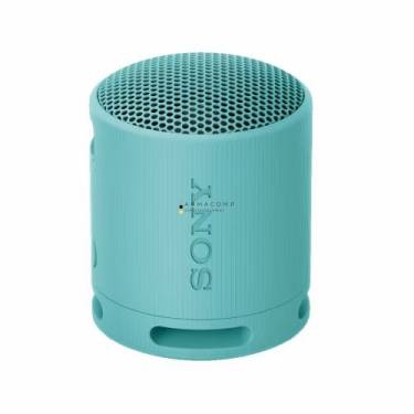 Sony SRSX-B100 Bluetooth Speaker Blue