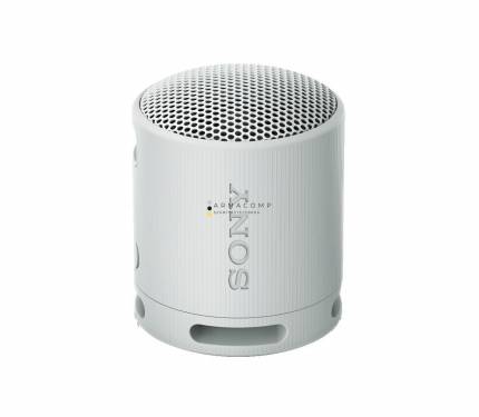 Sony SRSX-B100 Bluetooth Speaker Light Grey