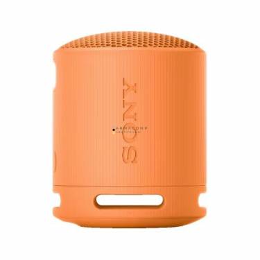 Sony SRSX-B100 Bluetooth Speaker Orange