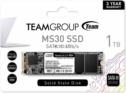 TeamGroup 1TB M.2 2280 MS30