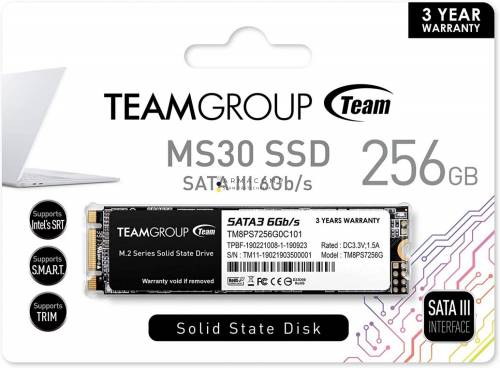 TeamGroup 256GB M.2 2280 MS30