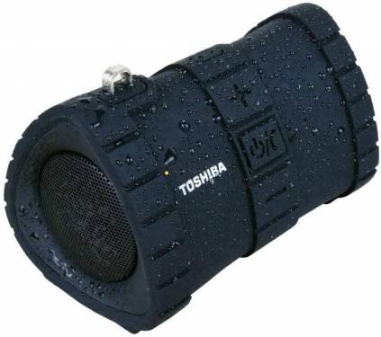 Toshiba Sonic Dive 2 TY-WSP100 Speaker Black