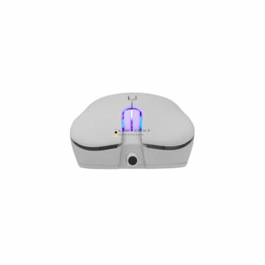 White Shark GM-5010 Bagdemagus RGB Mouse White