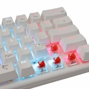 White Shark Wakizashi Red Switches Gaming Keyboard White US